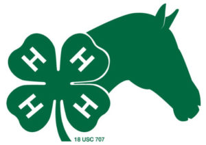 Cover photo for 4-H Horse Events and Updates 2017