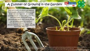 Cover photo for A Summer of Growing in the Garden!
