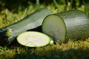 Cover photo for Steps to Health: Zucchini
