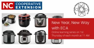 Cover photo for New Way With ECA: Understanding Your Electronic Pressure Cooker