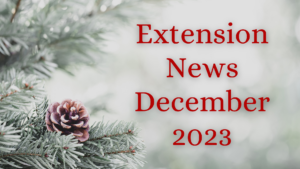 December Newsletter 2023