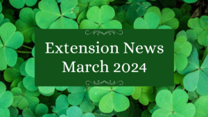 Cover photo for March 2024 Newsletter