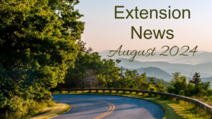 August 2024 Newsletter