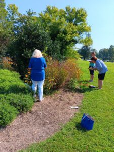 Pollinator Census