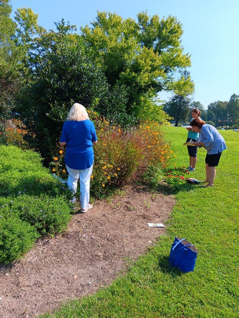 Pollinator Census 