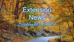 September 2024 Newsletter