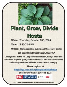 Hosta Workshop Flyer