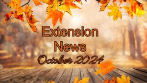 October 2024 Newsletter