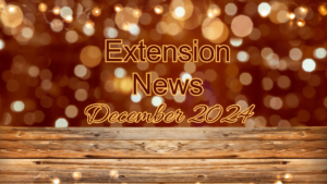 December 2024 Newsletter