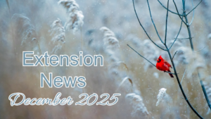 January 2025 Newsletter