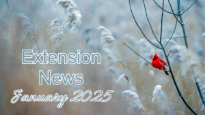 January 2025 Newsletter