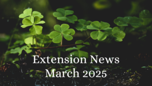 March 2025 Newsletter