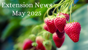 May 2025 Newsletter
