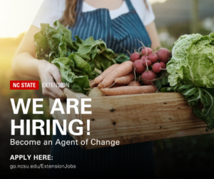 We are Hiring!