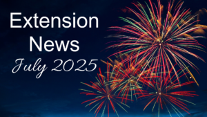 July 2025 Newsletter