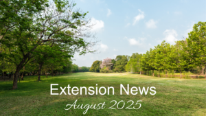 August 2025 Newsletter