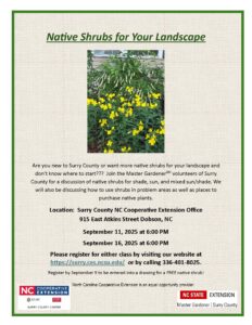 Native Shrubs for Your Landscape Flyer
