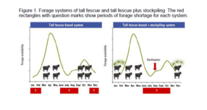 Forage systems of tall fescue and tall fescue plus stockpiling.