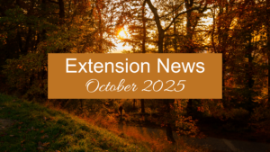 October 2025 Newsletter