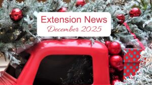 December 2025 Newsletter